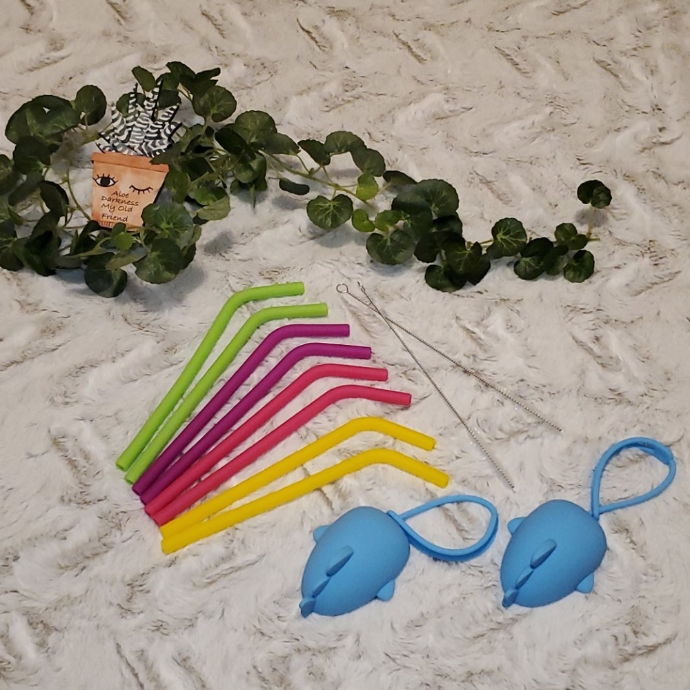 Reusable straw set with carrying cases